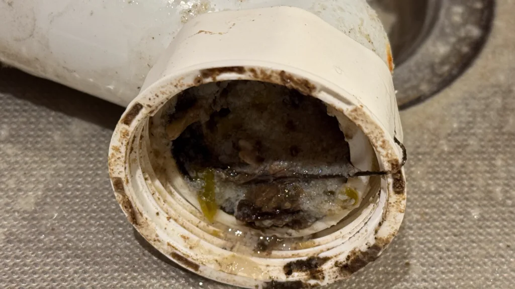 Drain cleaning with hydrojetting services